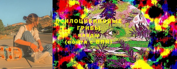 ECSTASY Алексеевка
