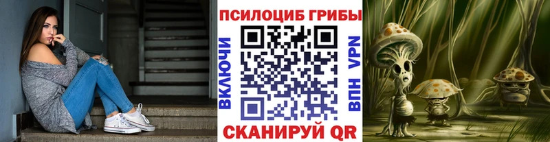 что такое   Ртищево  Псилоцибиновые грибы Psilocybe 